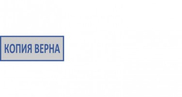 Штамп КОПИЯ ВЕРНА (26*10 мм)