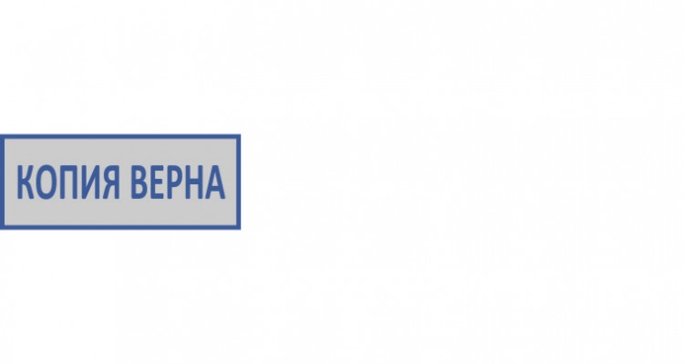 Штамп КОПИЯ ВЕРНА (26*10 мм)