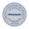 Печать для ООО с защитой от подделки (микрошрифт, орнамент) D40 мм.